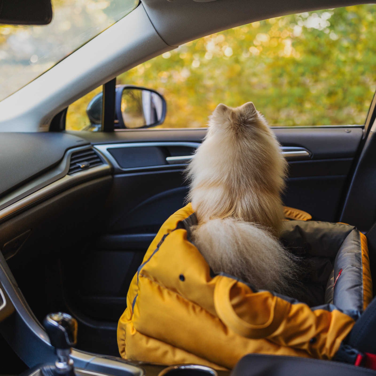 Tripsider Navigator
